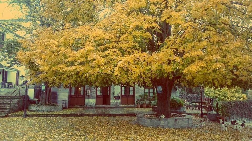 Villa Armonia Neochori  Buitenkant foto